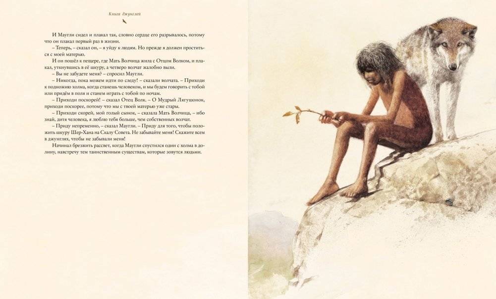 Книга джунглей фото книги 3