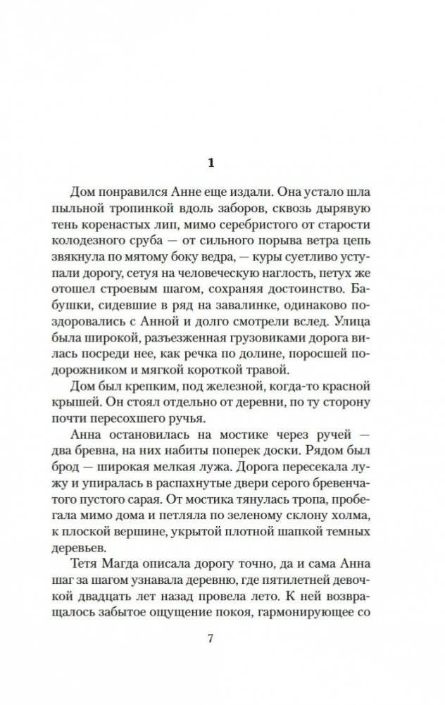 Похищение чародея. Журавль в руках. Город Наверху фото книги 5