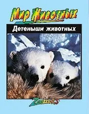 Детеныши животных фото книги