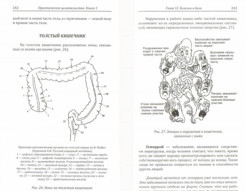 Практическое целительство. Исцеление через гармонию фото книги 2