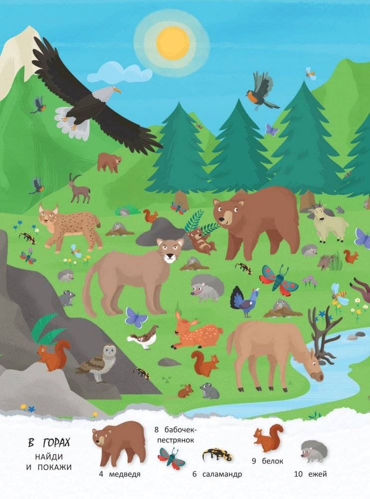 Находилки. Животные фото книги 3