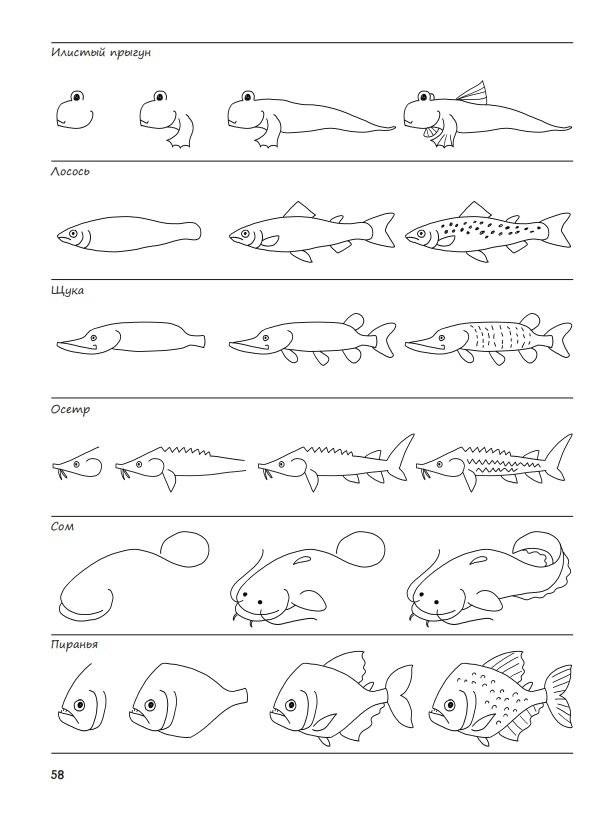 Я могу нарисовать 1000 вещей фото книги 5