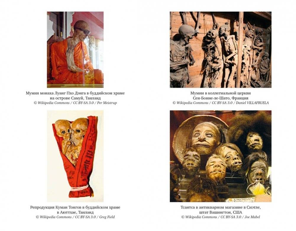 Мумии со всего света фото книги 5