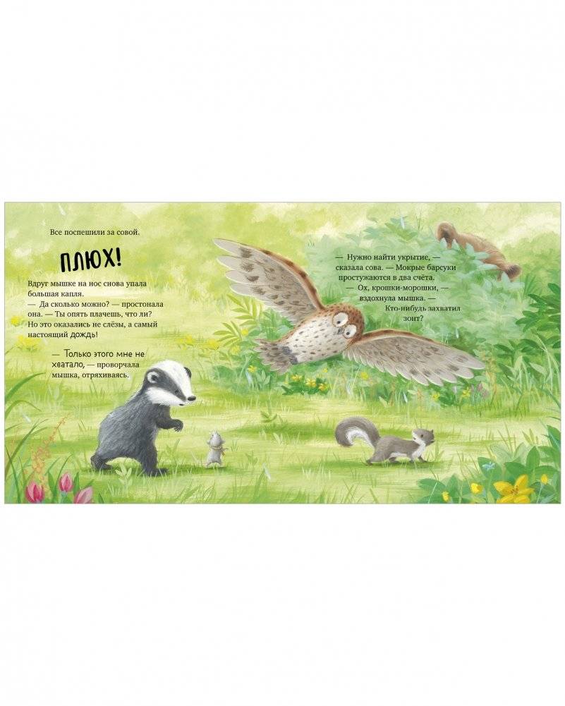 Книжки-картинки (мягкая обложка). Я не ворчунья! фото книги 4