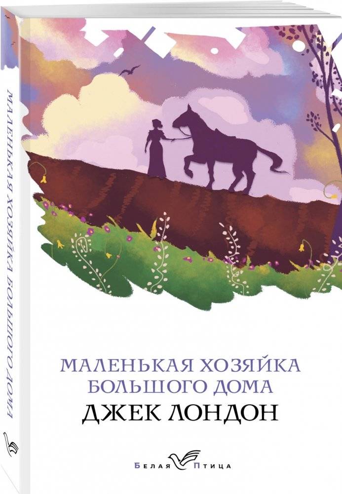 Маленькая хозяйка Большого дома фото книги 2
