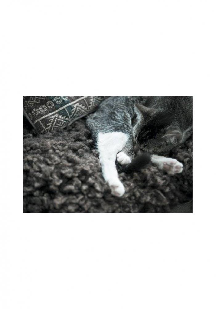 Книга hygge. Искусство жить здесь и сейчас фото книги 3