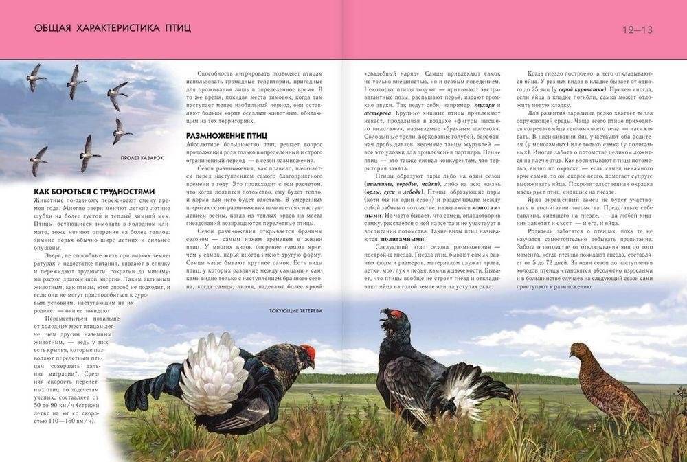 Птицы. Полная энциклопедия фото книги 8
