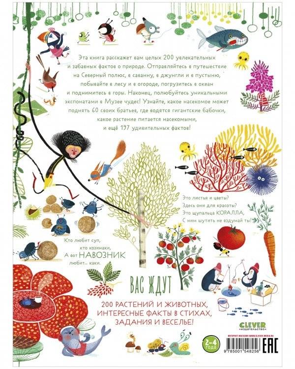 Читай, рассматривай, играй! Всё-всё-всё о природе фото книги 8