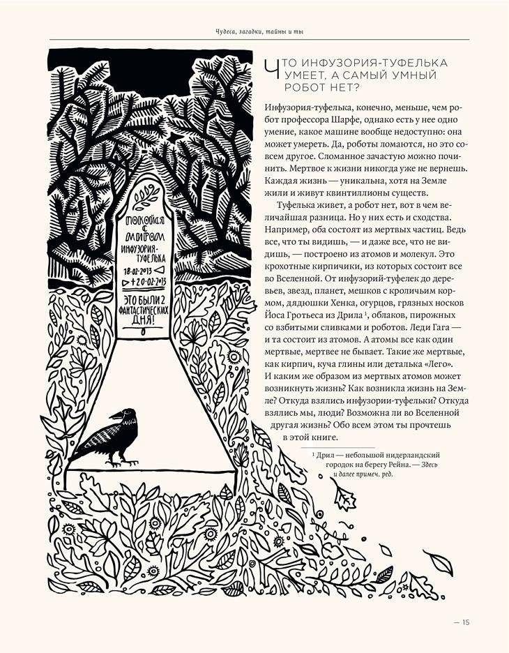 Загадка жизни и грязные носки Йоса Гротьеса из Дрила фото книги 2