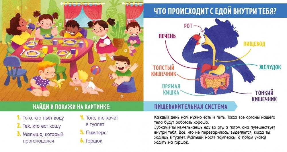 Найди и покажи, малыш. Моё тело фото книги 7