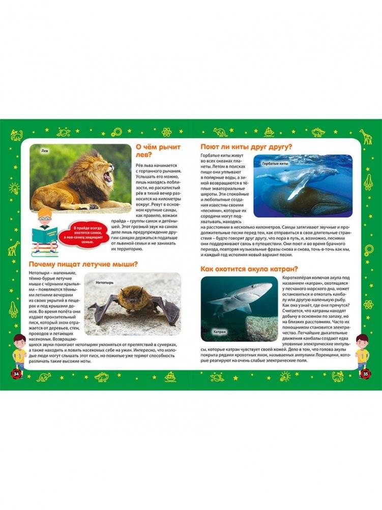 Детская энциклопедия в вопросах и ответах. Лучший подарок для мальчика фото книги 8