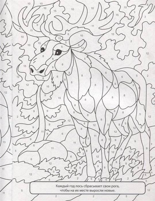 Раскраска по номерам. Весёлый зоопарк фото книги 5