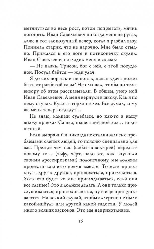 Радуга для друга фото книги 5