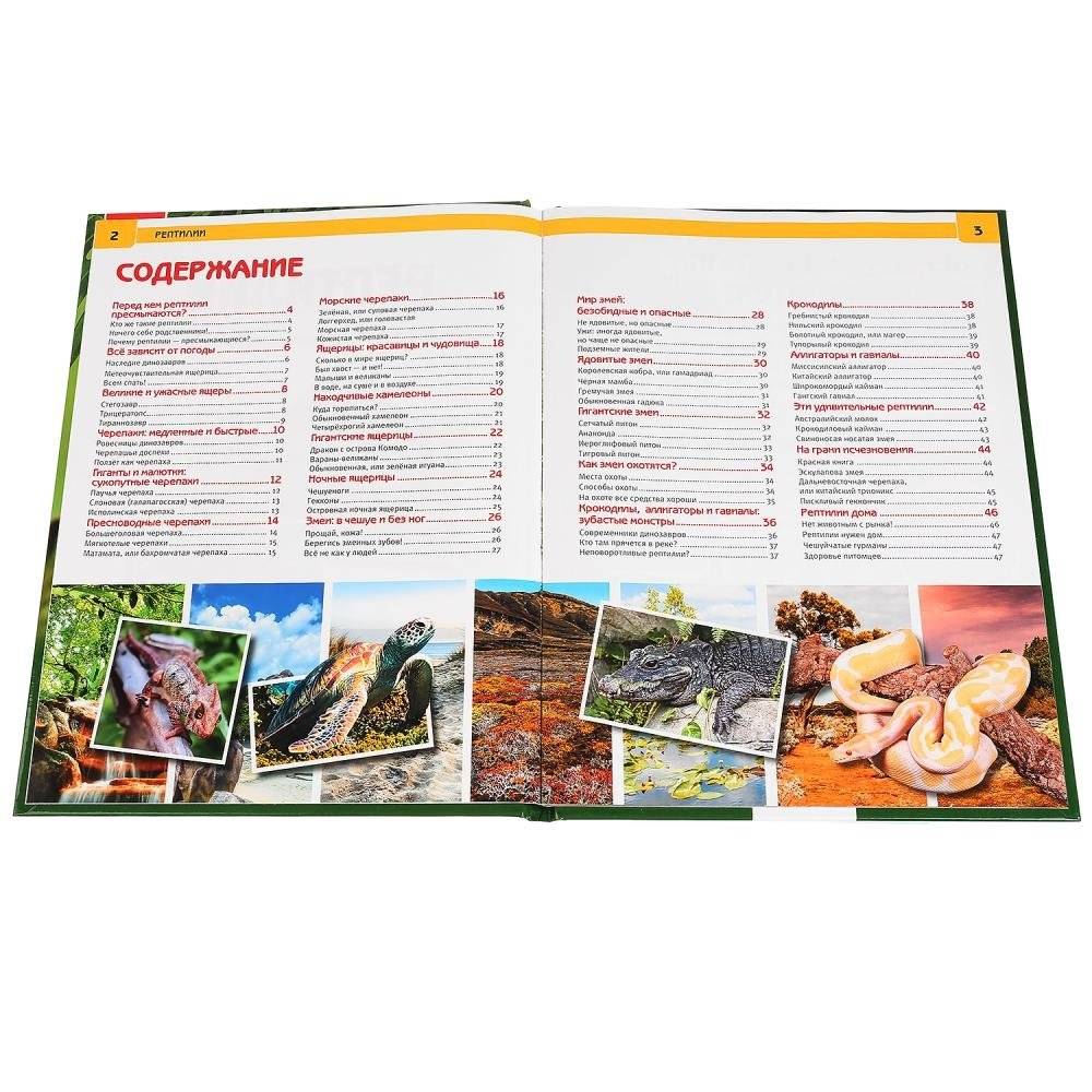 Рептилии. Энциклопедия фото книги 2
