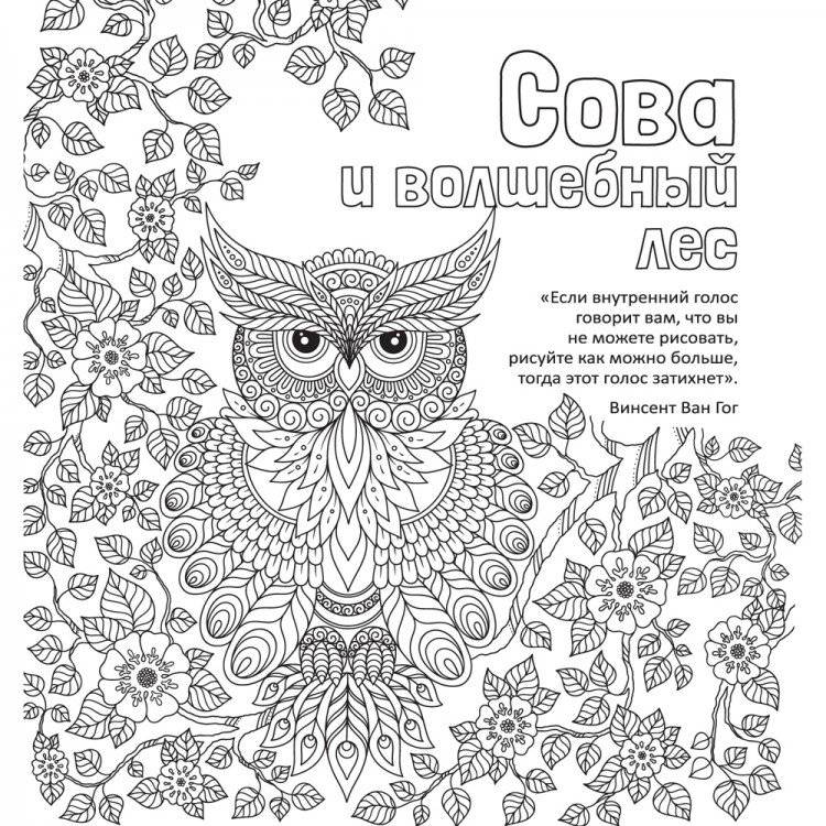 Раскраска-антистресс. Сова и волшебный лес фото книги 2