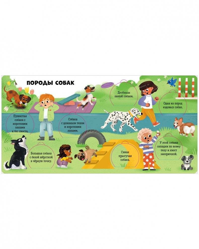 Любимые животные. Энциклопедия с окошками фото книги 4