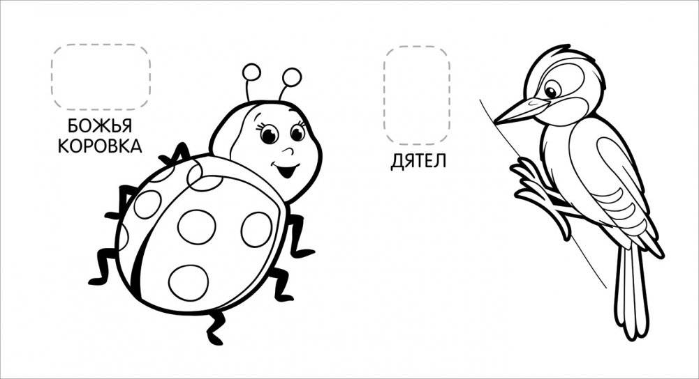 Первая раскраска с наклейками. Животные в лесу фото книги 2