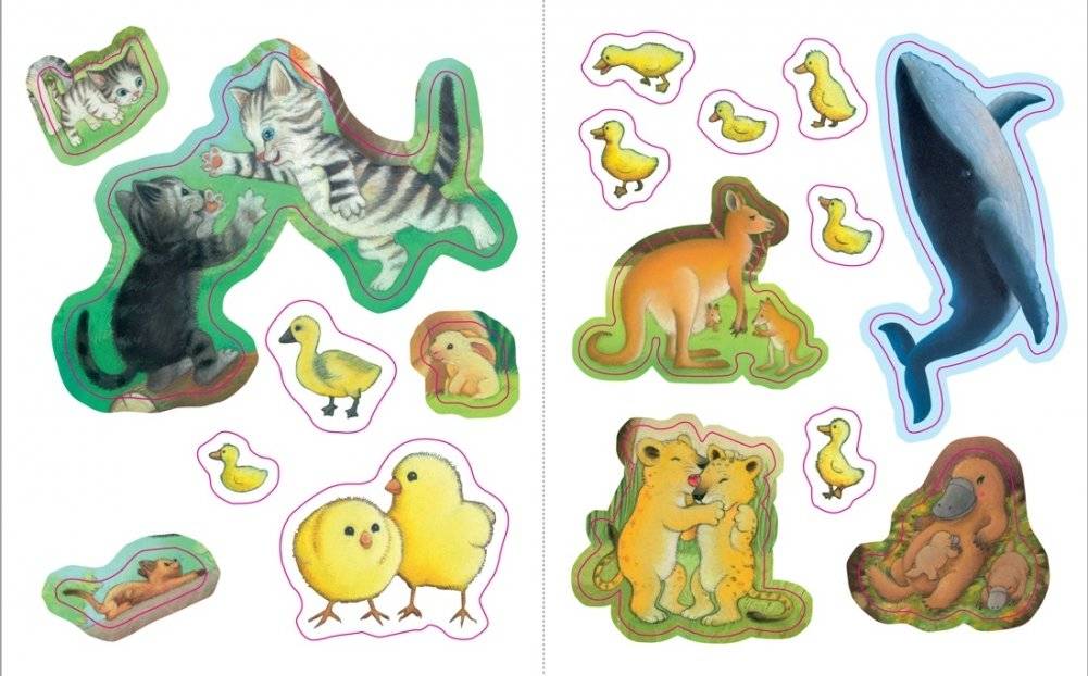 Детёныши животных фото книги 3