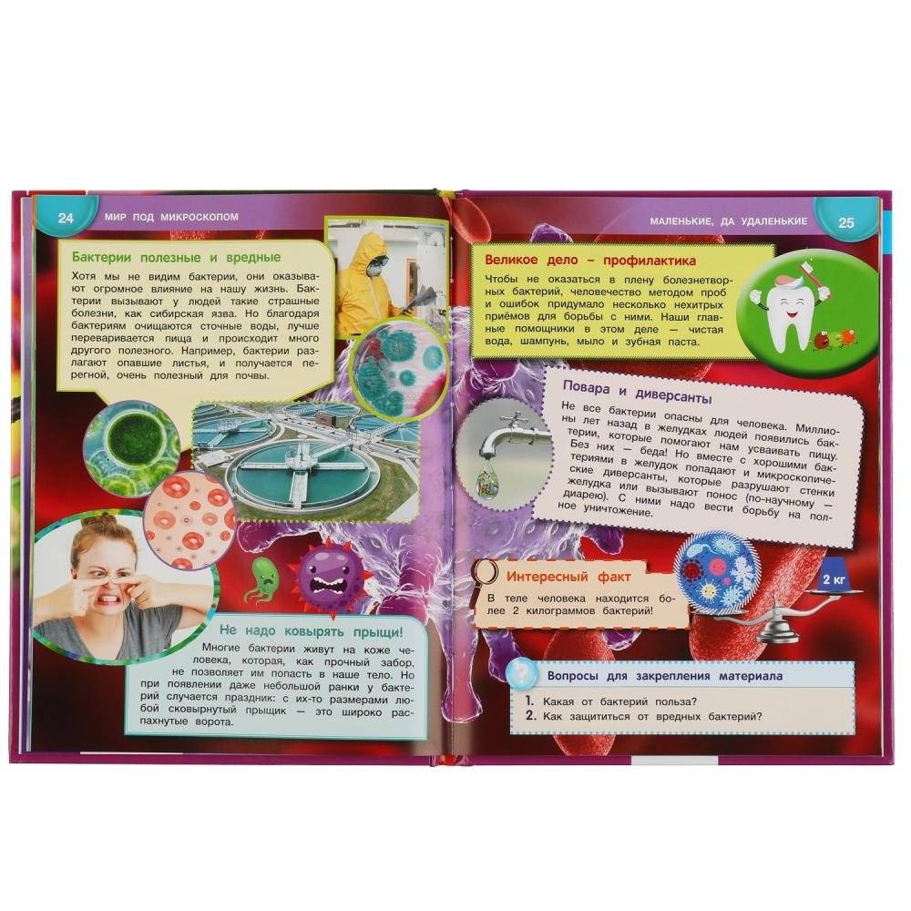 Энциклопедия с развивающими заданиями "Мир под микроскопом", 48 страниц фото книги 4