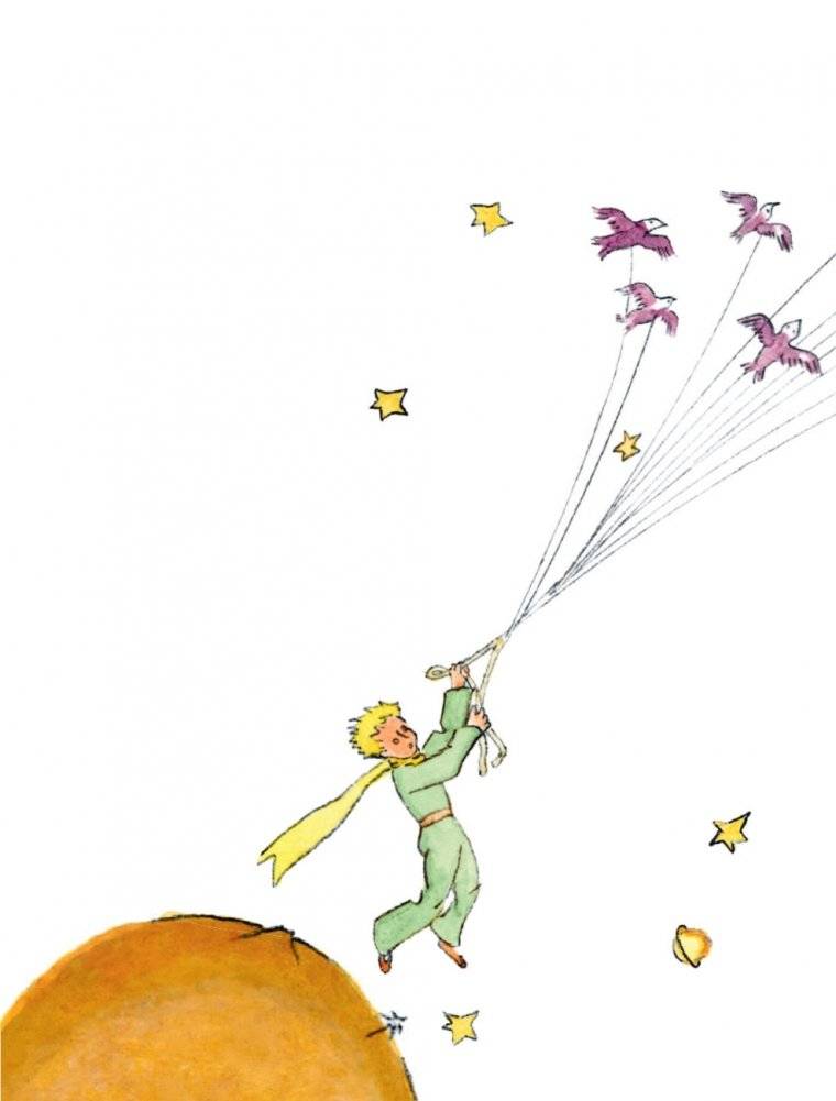 Маленький принц (рис. автора) (силуэт) фото книги 5