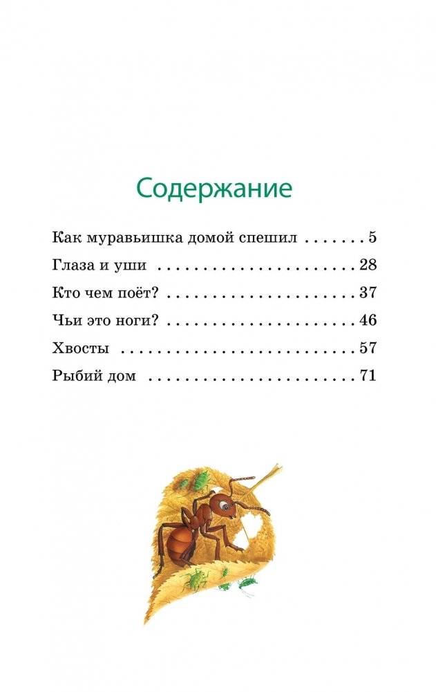 Как Муравьишка домой спешил фото книги 2