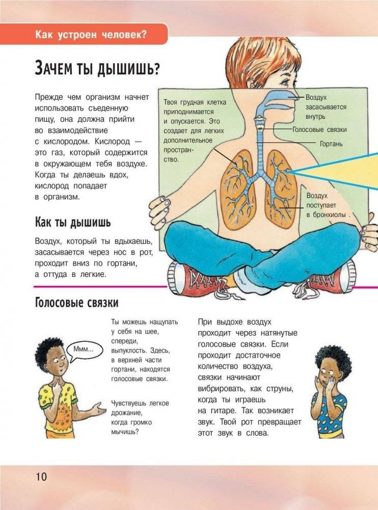 Иллюстрированная энциклопедия отчего и почему фото книги 11