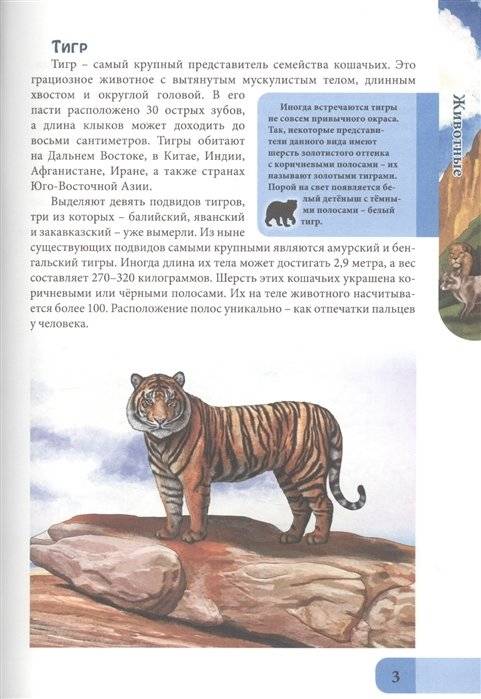 Энциклопедия. Хищники фото книги 4