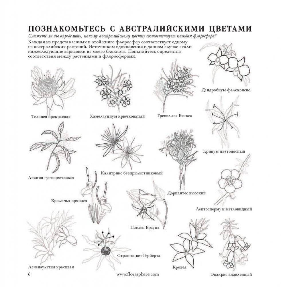 Флоросфера. Вдохновение фото книги 4