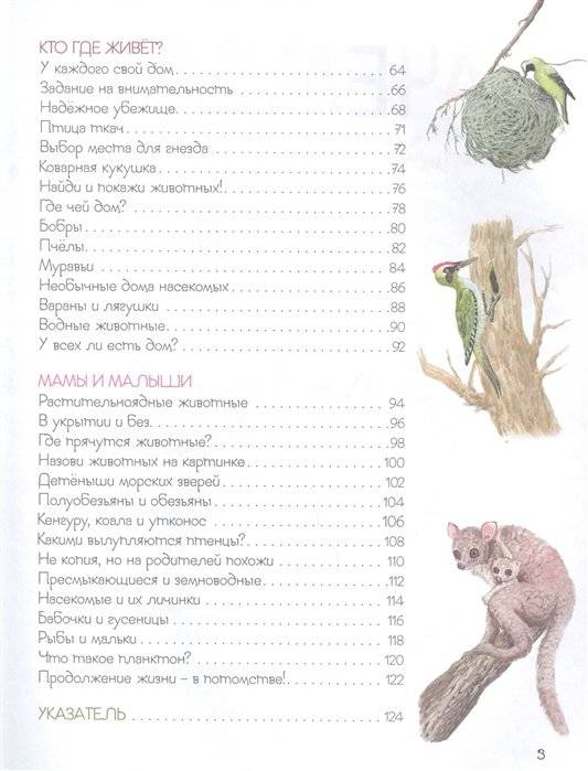 Удивительный мир животных. Энциклопедия для малышей фото книги 3