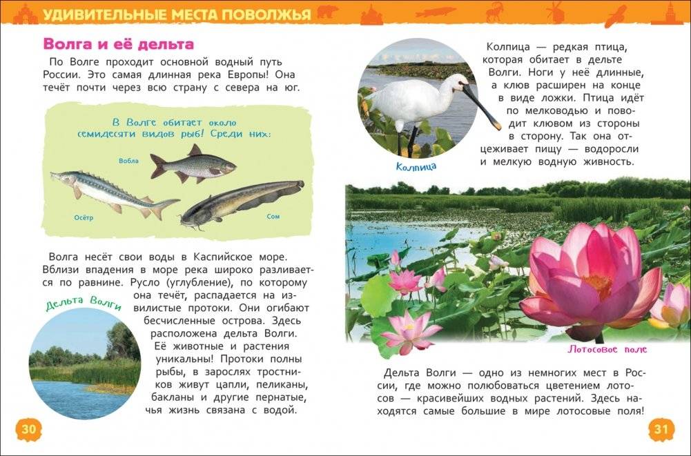 Чудеса России фото книги 2