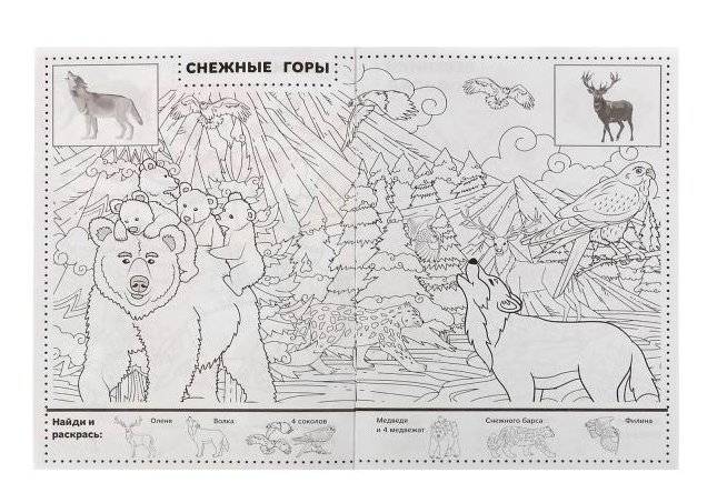 Времена года. Раскраска "Найди и раскрась" с наклейками фото книги 3