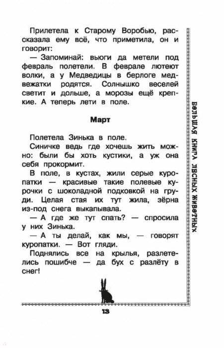 Большая книга лесных животных фото книги 5