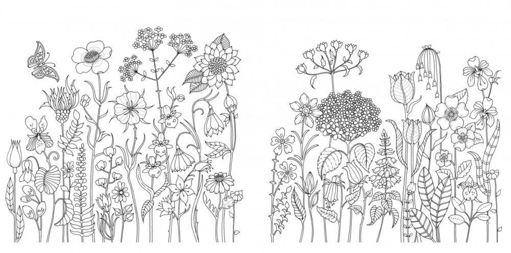 Мир цветов. Книга для творчества и вдохновения фото книги 2