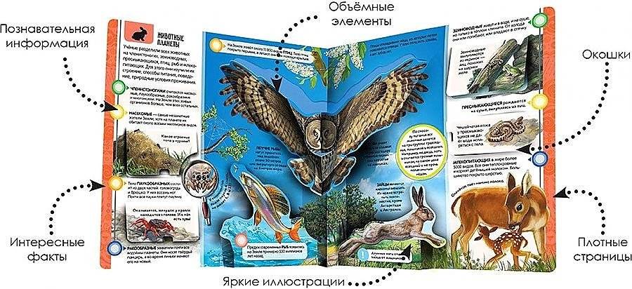 Планета Земля. Энциклопедия открытий фото книги 2