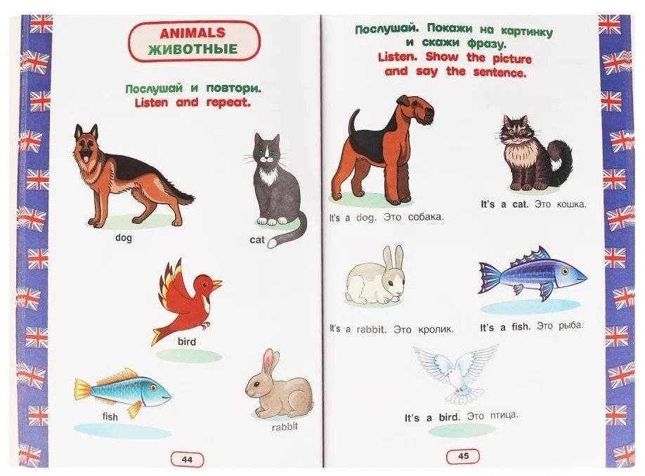 Английский язык 3-4 года. Годовой курс занятий фото книги 3