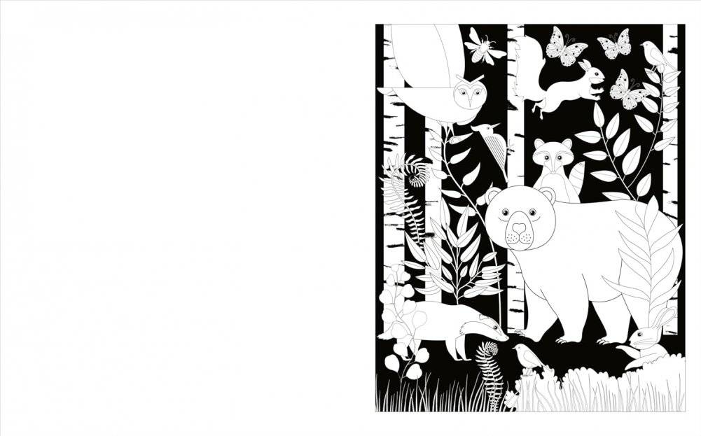 Enchanted Forest Colouring Book фото книги 2