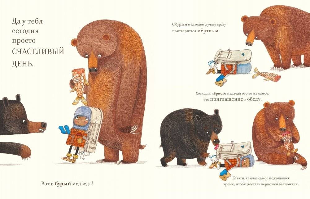 Практическая медведология для начинающих фото книги 5