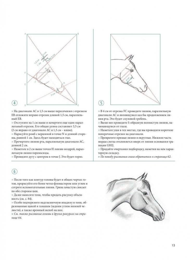 Рисуем лошадей. Руководство фото книги 11