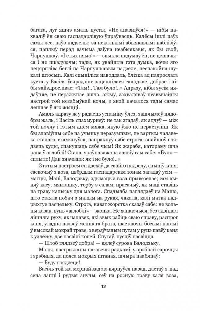 Подых навальніцы. Раман фото книги 10