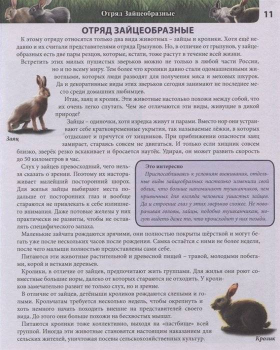 Энциклопедия. Животные России фото книги 5