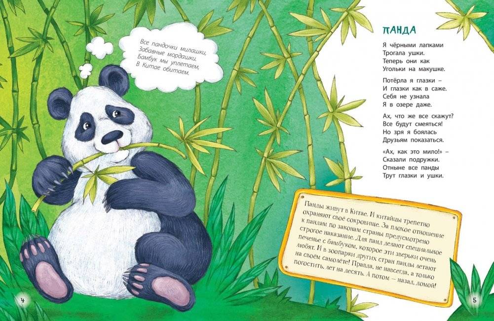 Расскажу вам о себе фото книги 2