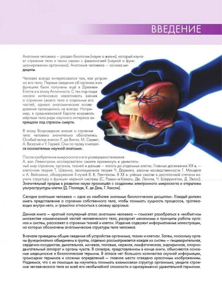 Анатомия человека. Большой популярный атлас фото книги 4