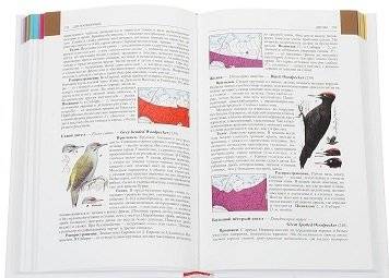Птицы Сибири. Справочник-определитель (количество томов: 2) фото книги 5