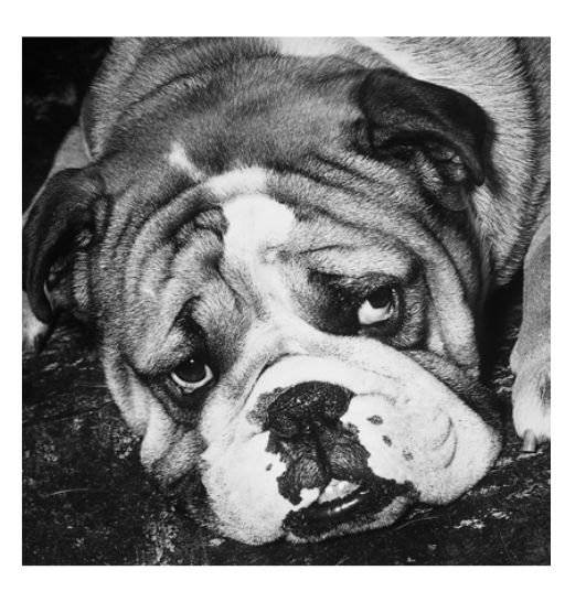 Когда тебе грустно... Как поднять себе настроение фото книги 7