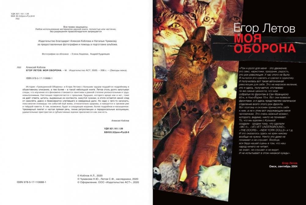 Егор Летов. Моя оборона фото книги 3