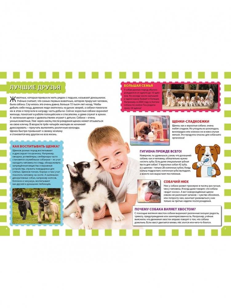 Детеныши животных фото книги 2