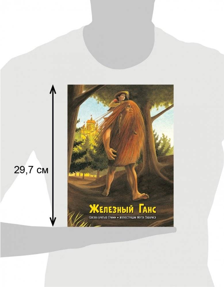 Железный Ганс фото книги 3