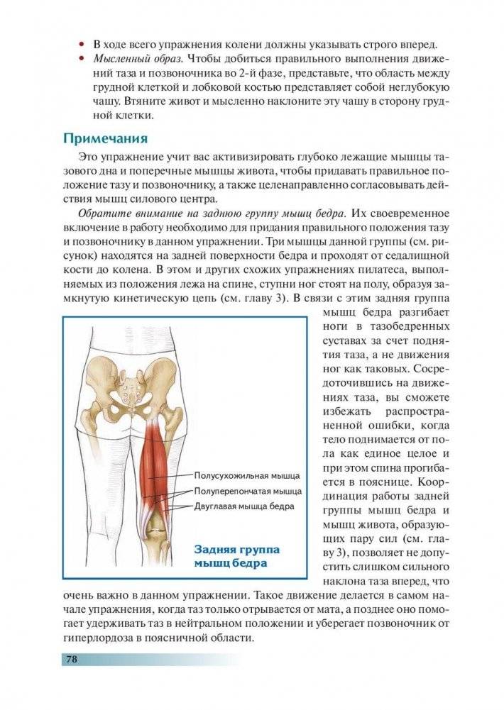 Анатомия пилатеса фото книги 10