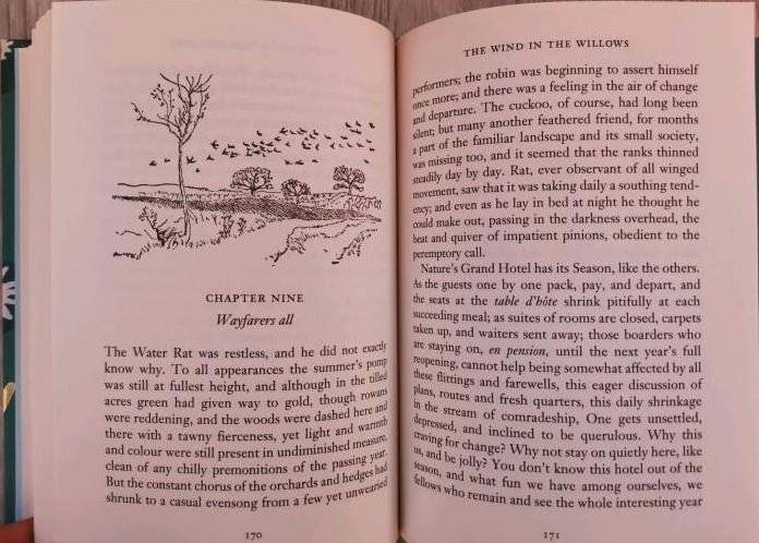 The Wind in the Willows фото книги 4