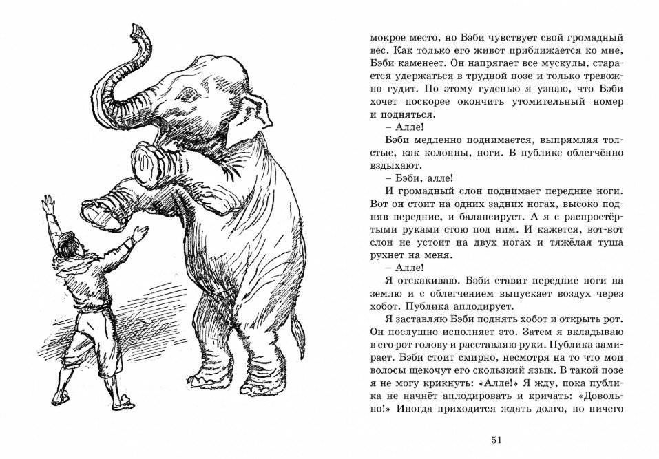 Мои звери фото книги 6